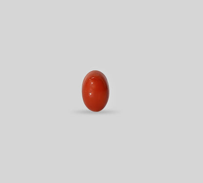Italian Red Coral - 3.25 Carats