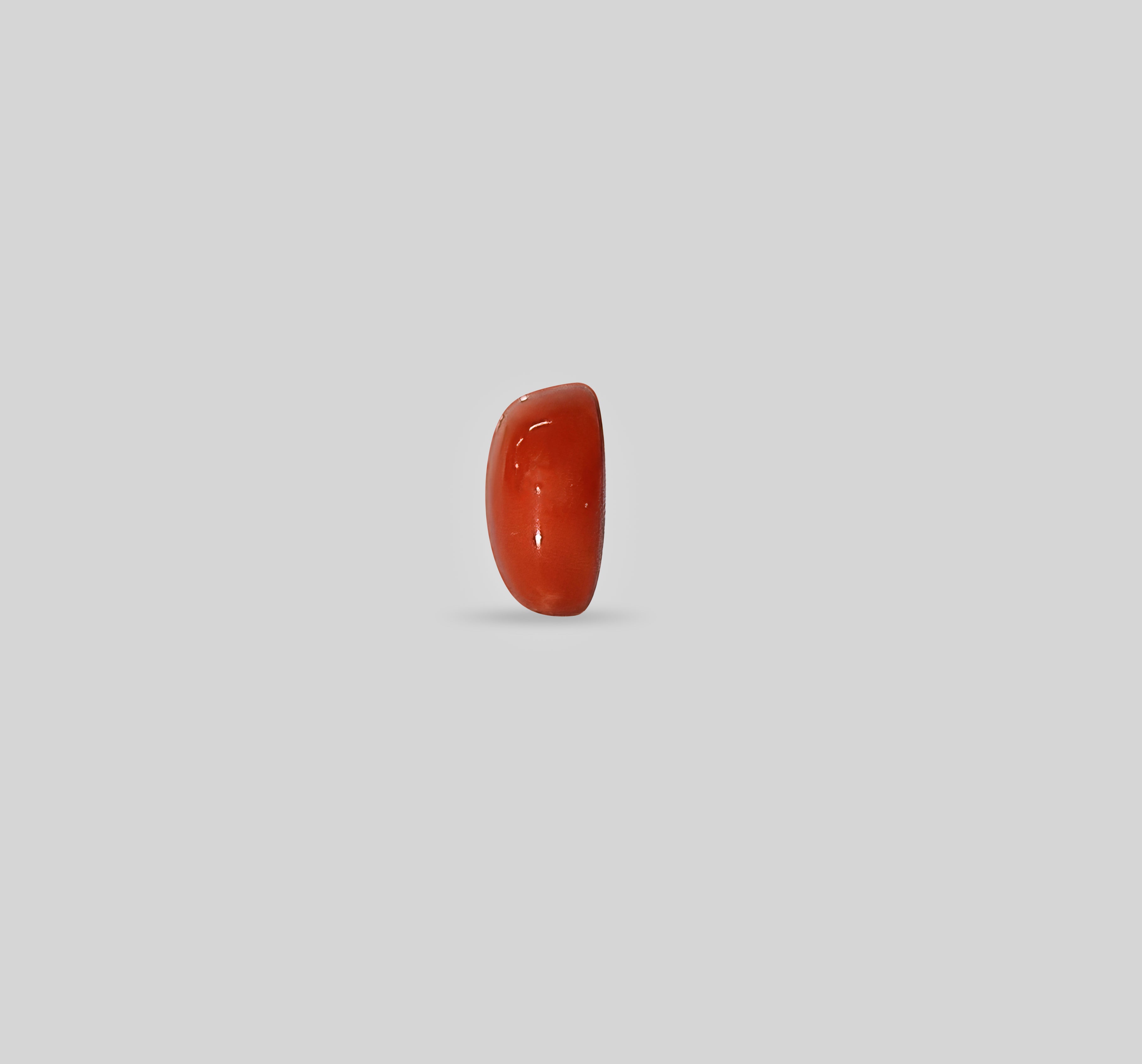 Italian Red Coral - 3.25 Carats