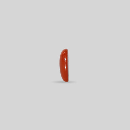 Japanese Red Coral - 4.38 Carats