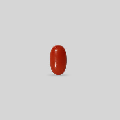 Japanese Red Coral - 4.39 Carats