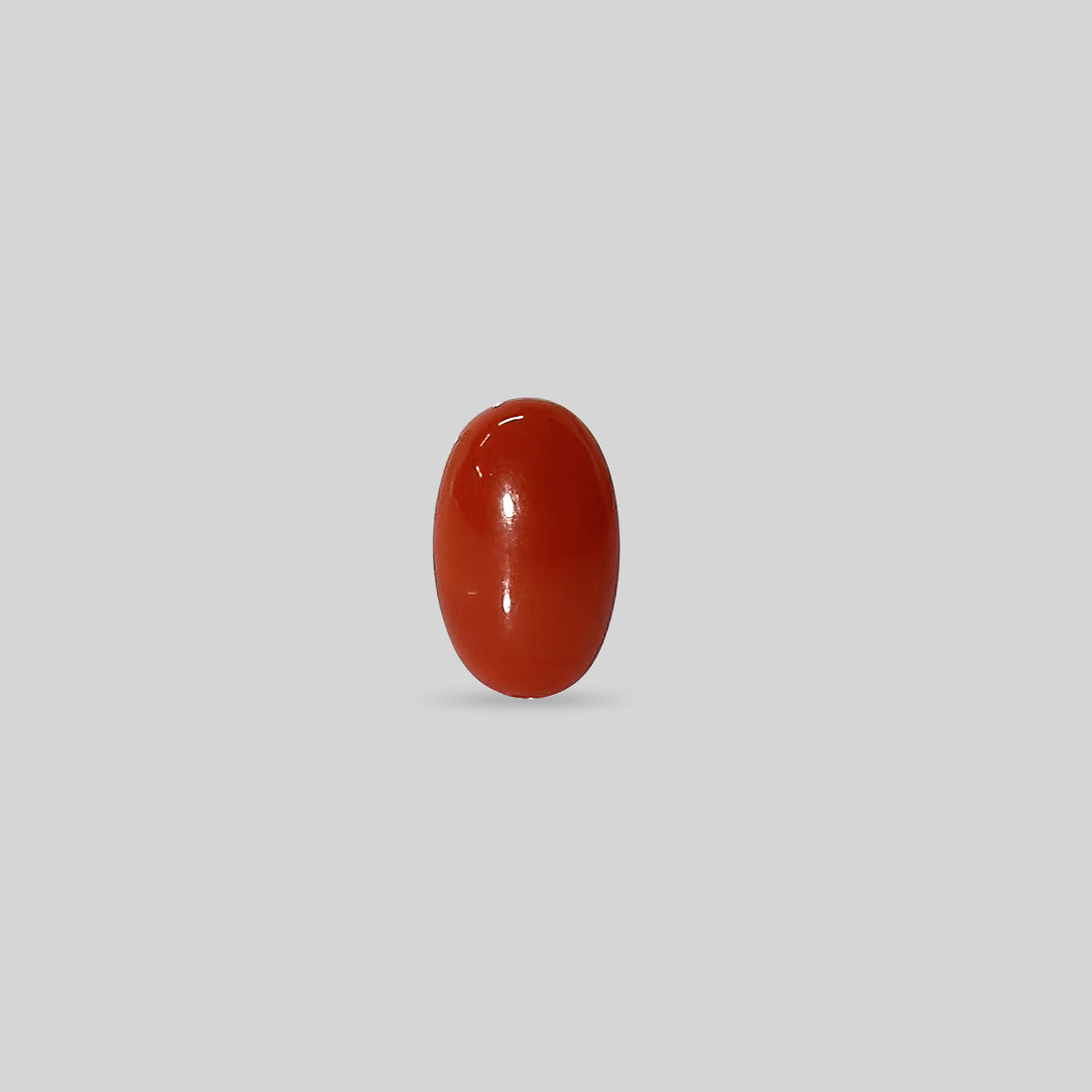 Japanese Red Coral - 6.10 Carats