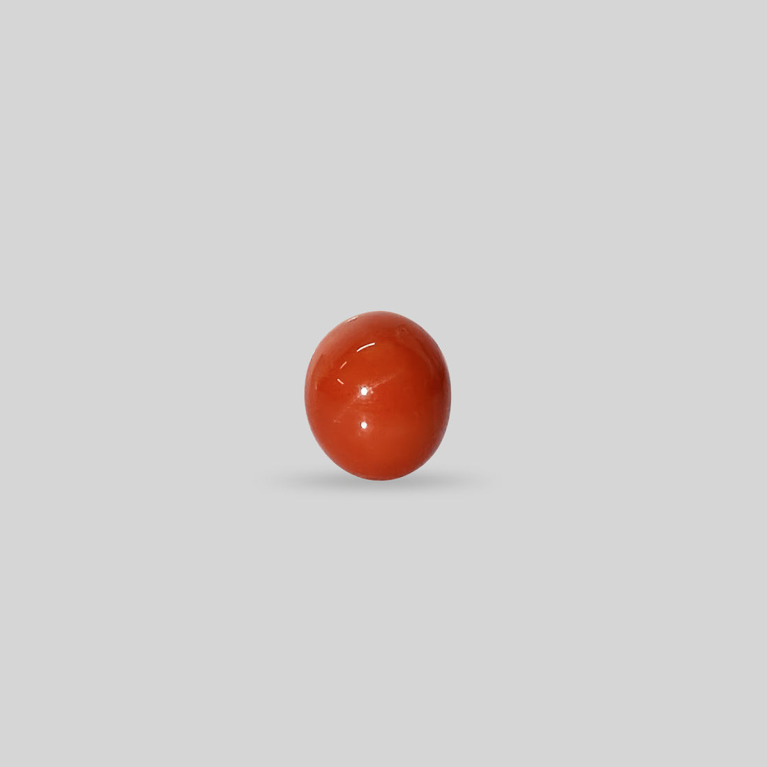 Japanese Red Coral - 6.46 Carats