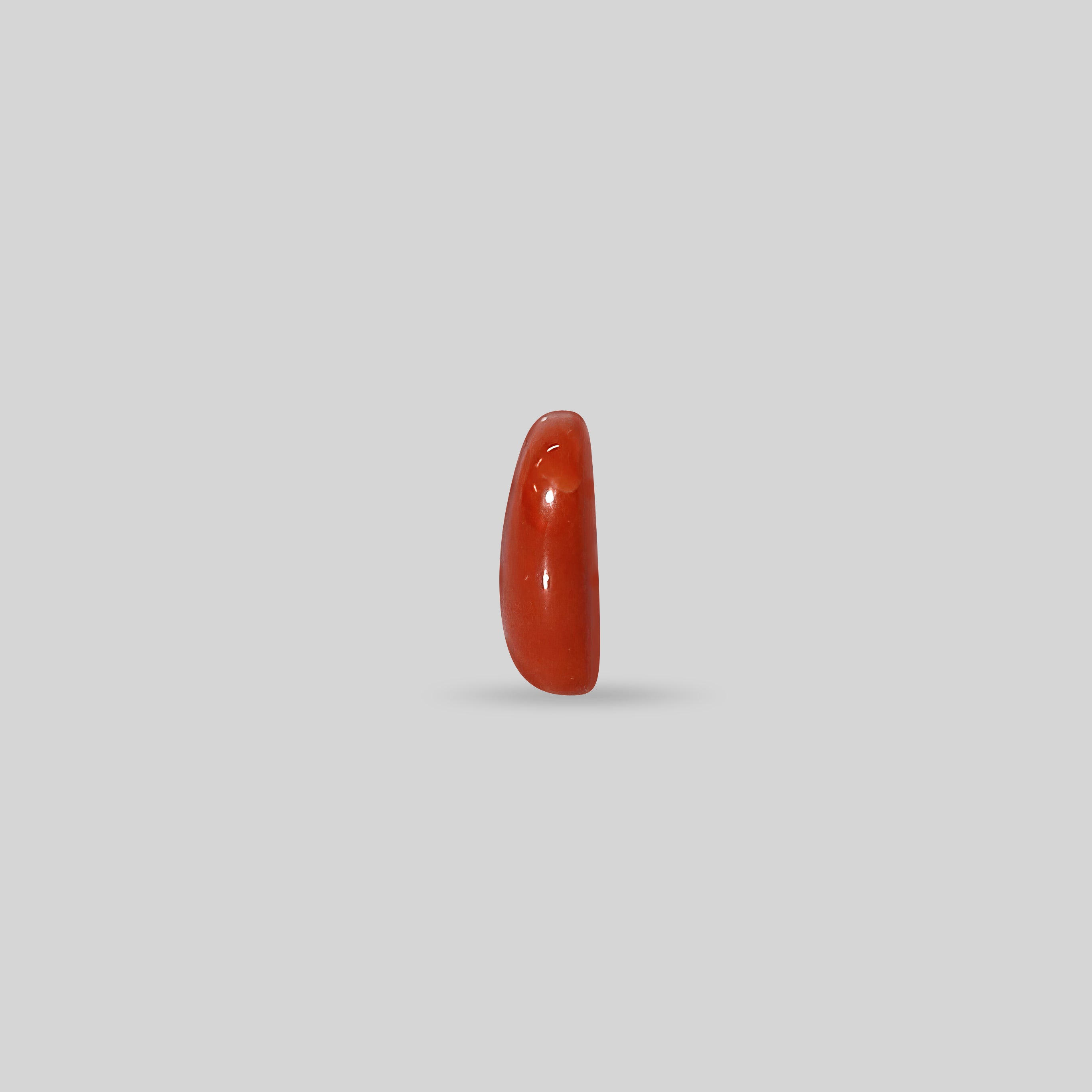 Japanese Red Coral - 6.62 Carats