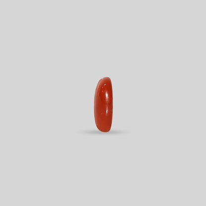 Japanese Red Coral - 7.23 Carats