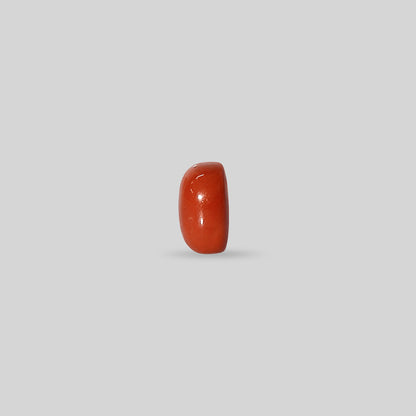 Italian Red Coral - 7.42 Carats