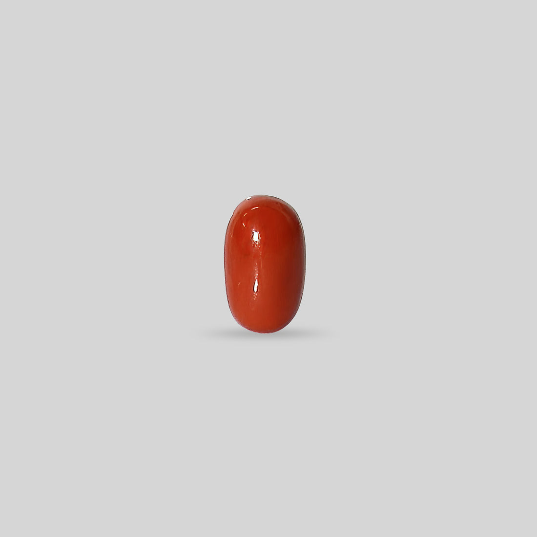 Italian Red Coral - 8.07 Carats