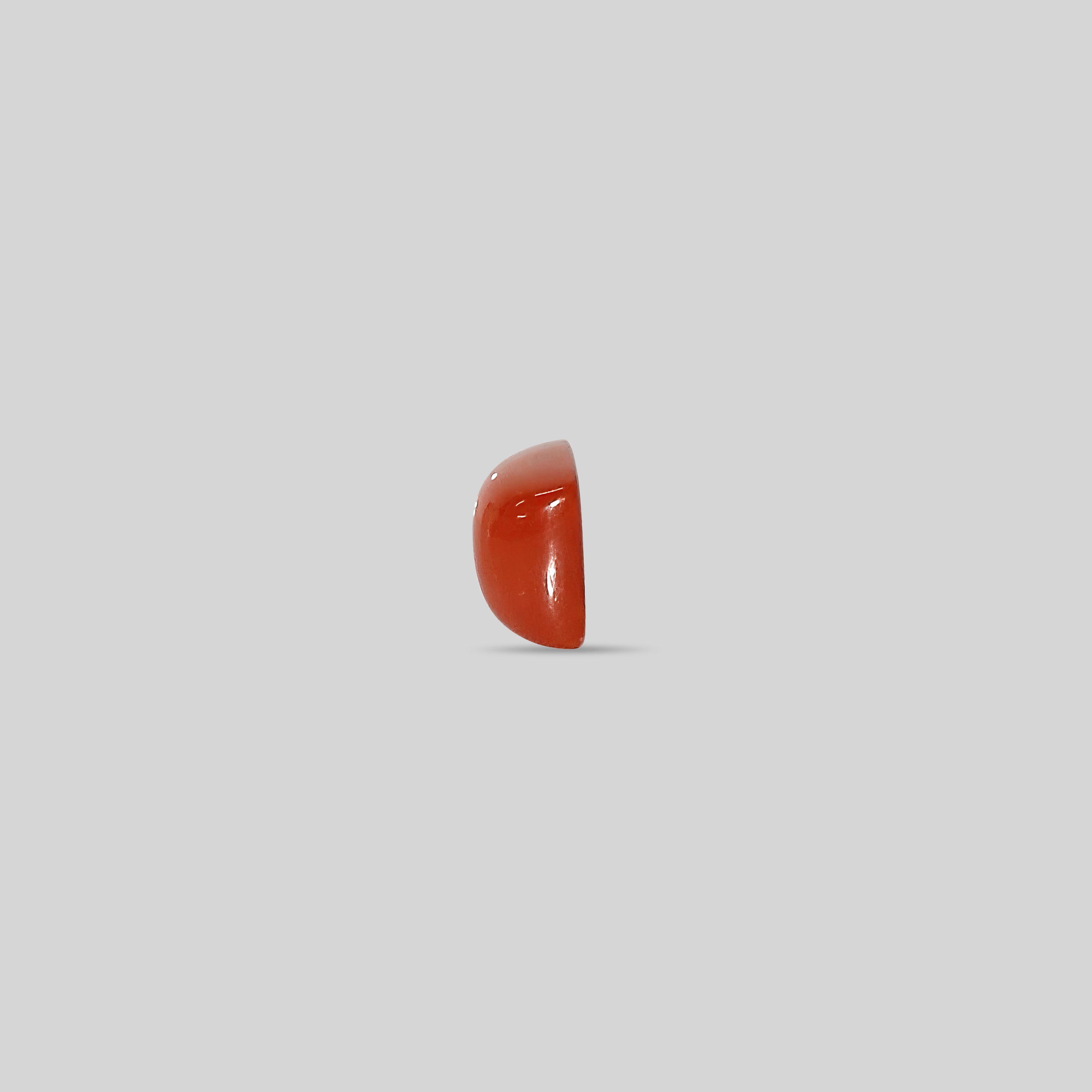 Japanese Red Coral - 8.10 Carats