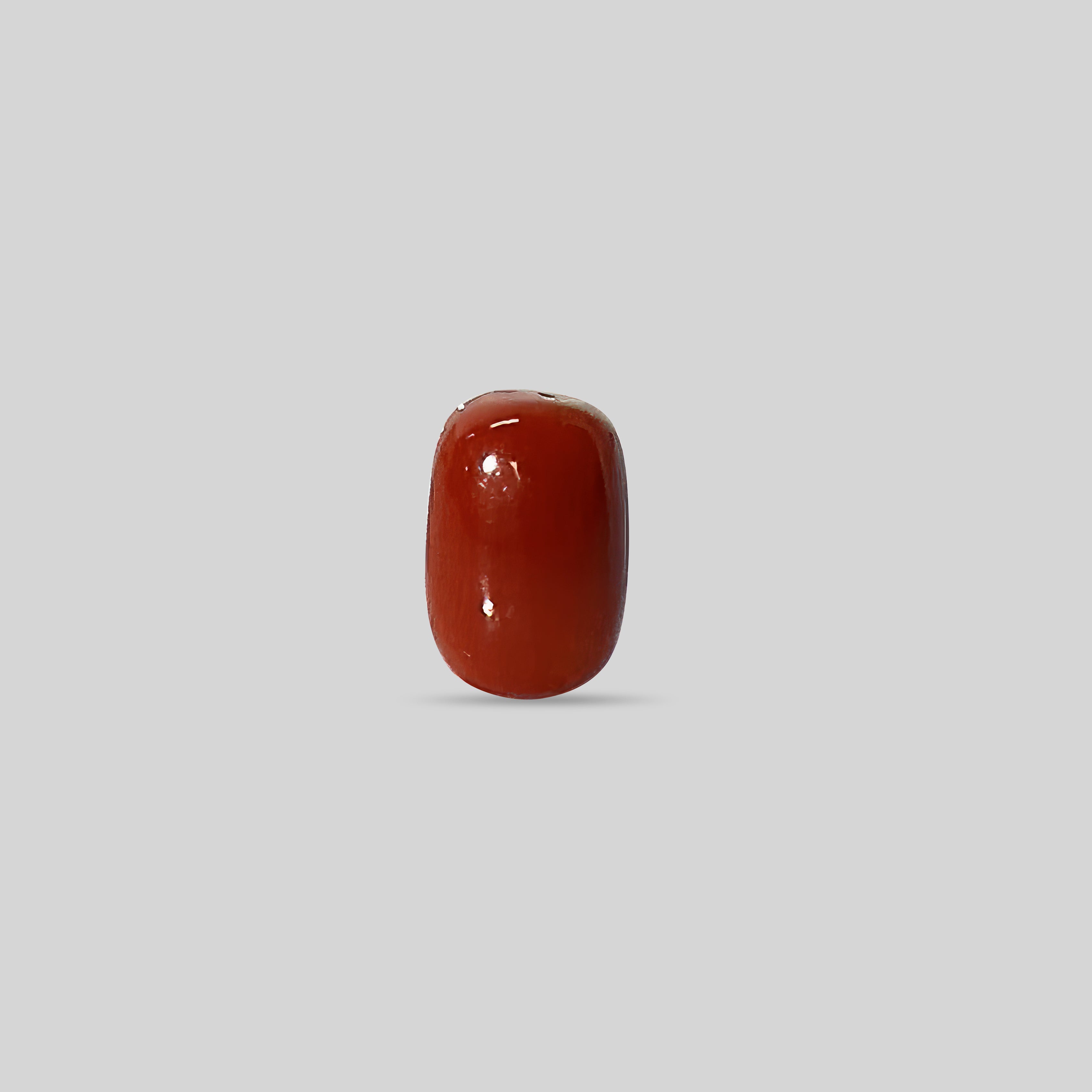 Italian Red Coral - 8.16 Carats