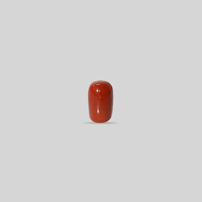 Italian Red Coral - 8.82 Carats