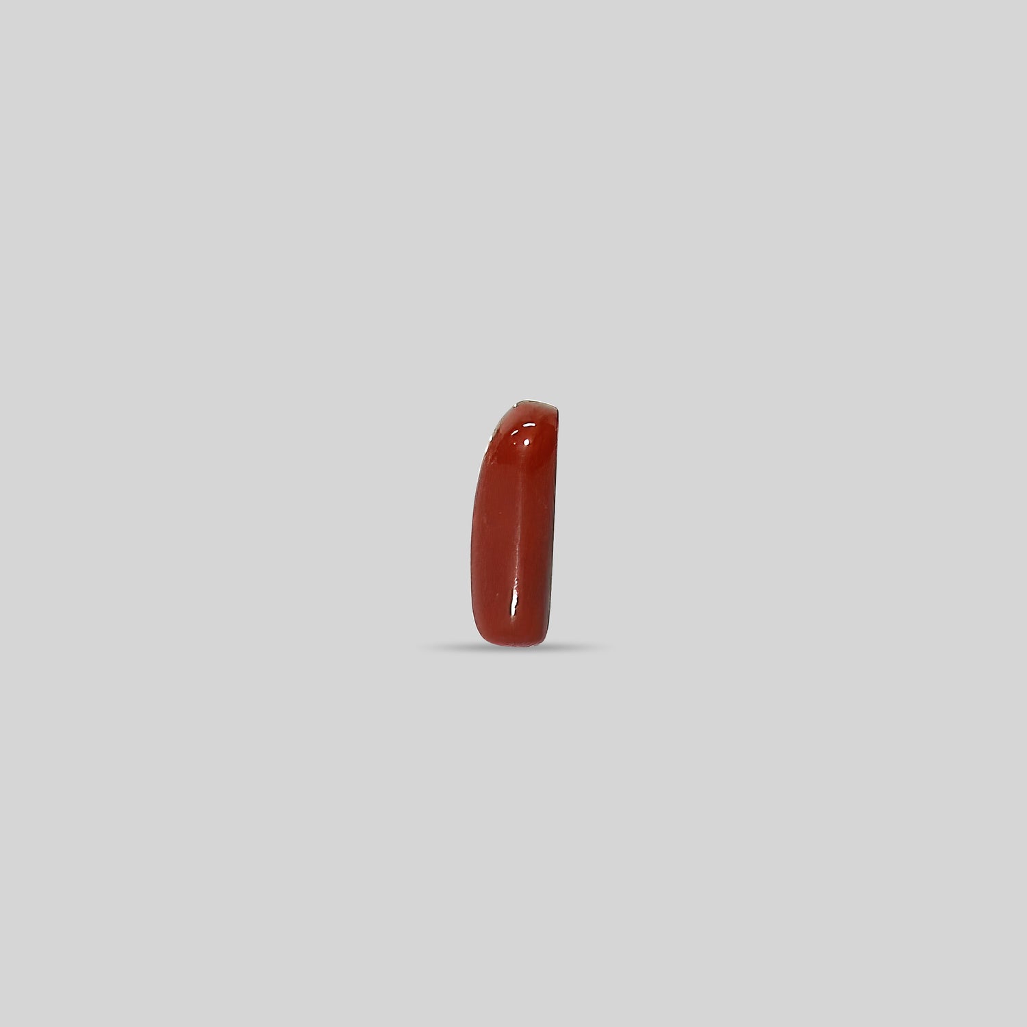 Italian Red Coral - 9.26 Carats