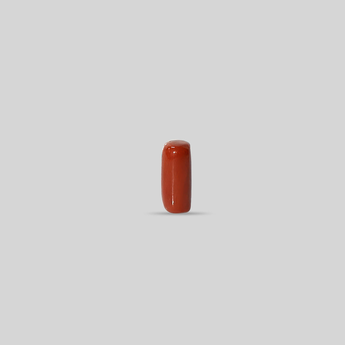 Italian Red Coral - 9.27 Carats