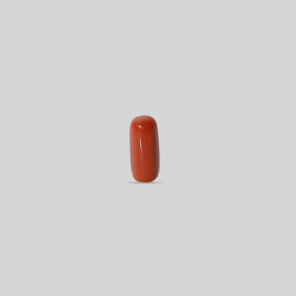 Italian Red Coral - 10.03 Carats
