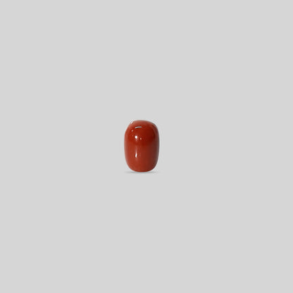 Italian Red Coral - 10.05 Carats