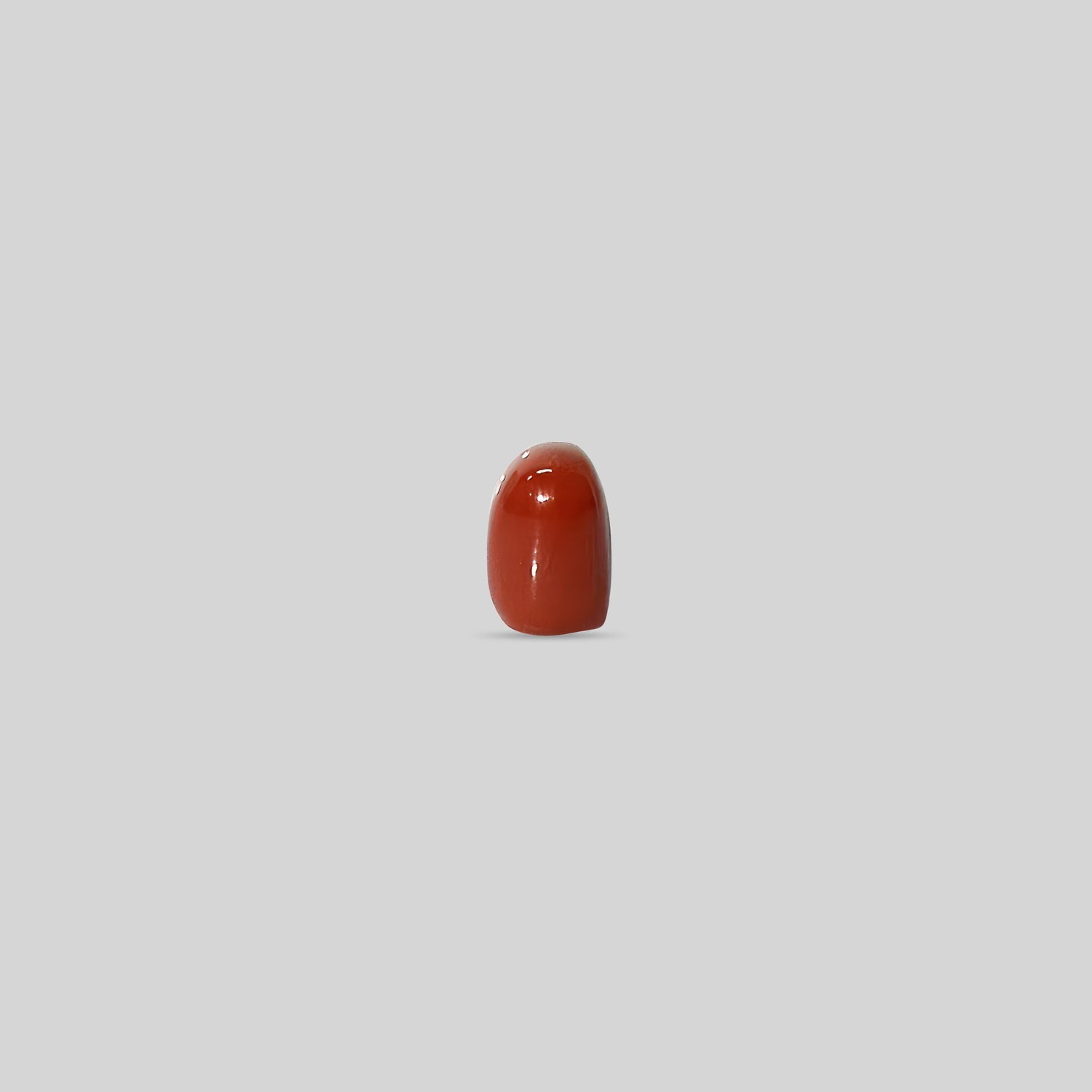 Italian Red Coral - 10.05 Carats