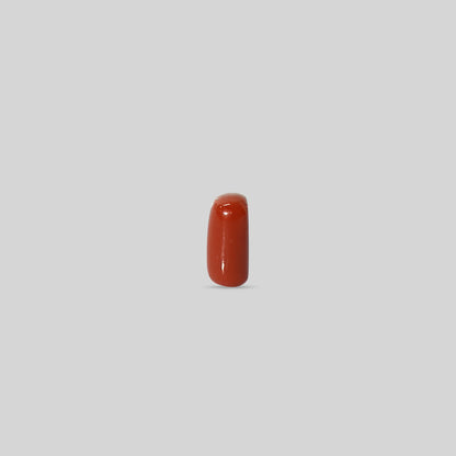 Italian Red Coral - 10.07 Carats