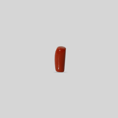 Italian Red Coral - 10.29 Carats