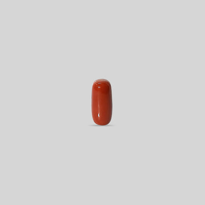 Italian Red Coral - 10.38 Carats