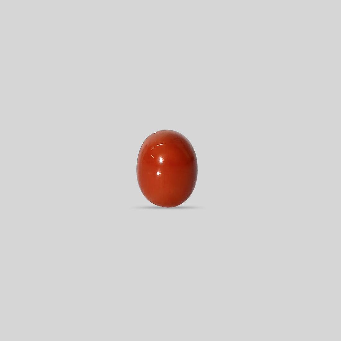 Italian Red Coral - 10.43 Carats