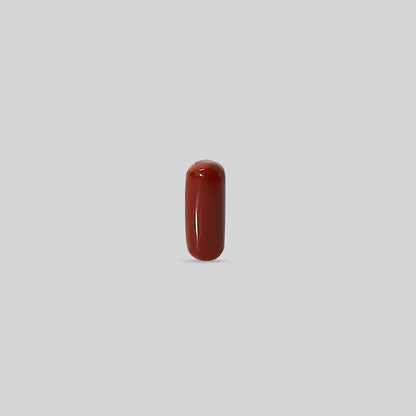 Italian Red Coral - 10.49 Carats