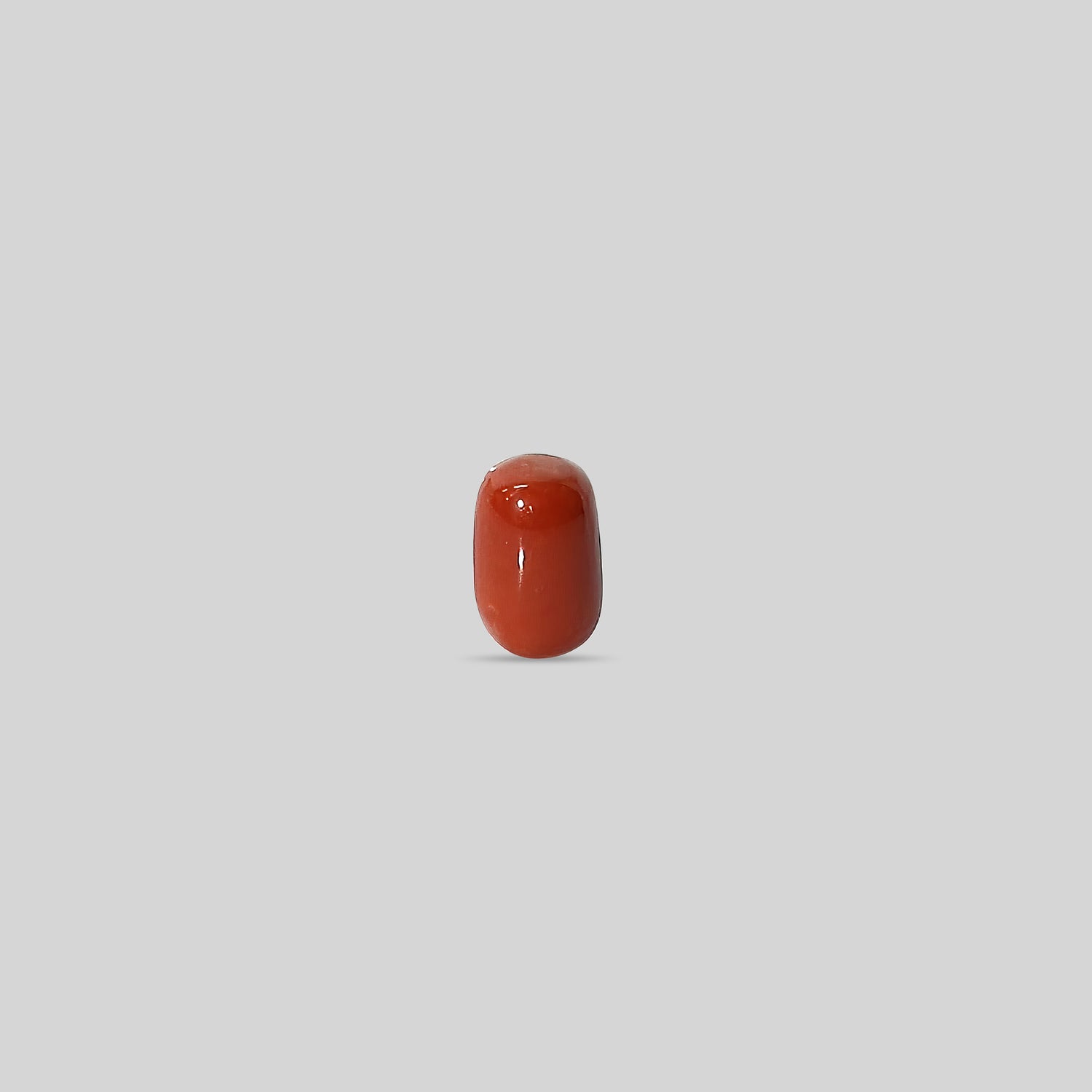 Italian Red Coral - 10.56 Carats