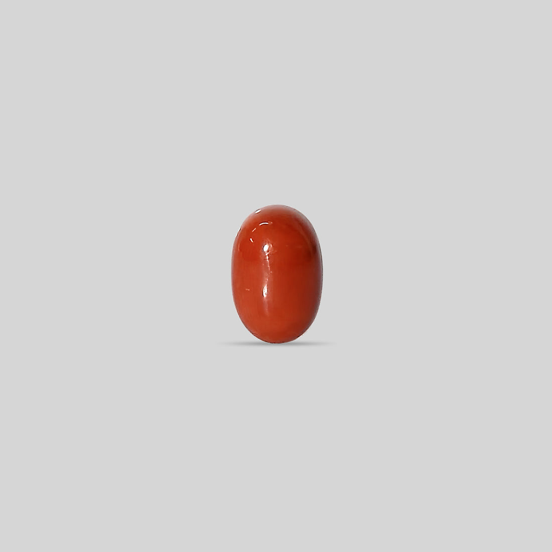 Italian Red Coral - 10.58 Carats