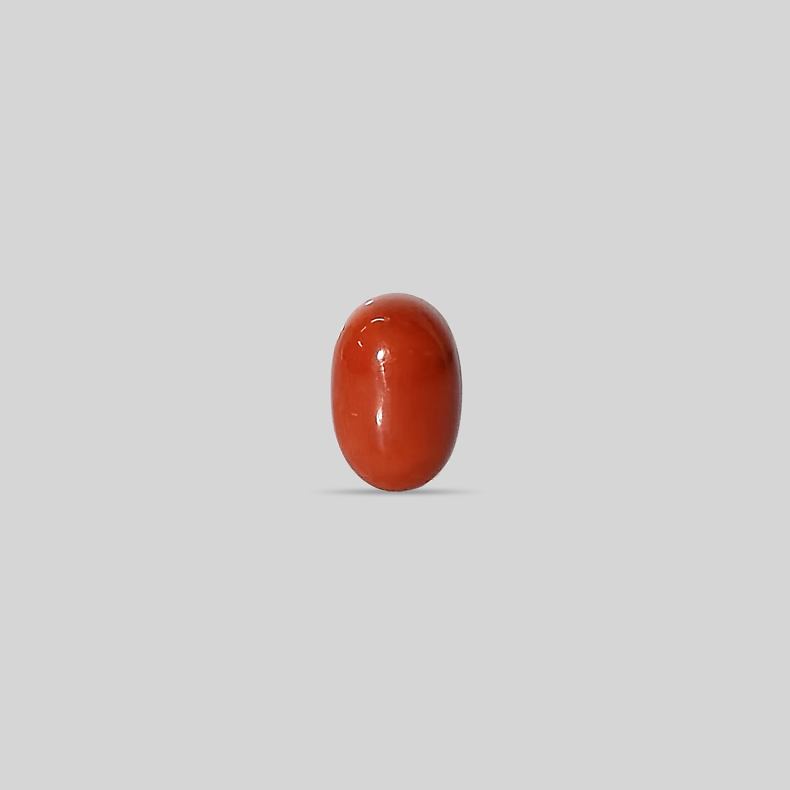 Italian Red Coral - 10.58 Carats