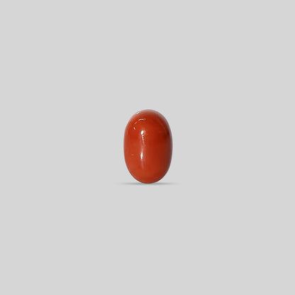 Italian Red Coral - 10.58 Carats