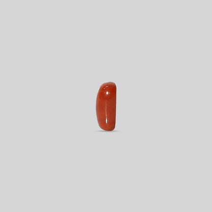 Italian Red Coral - 10.94 Carats
