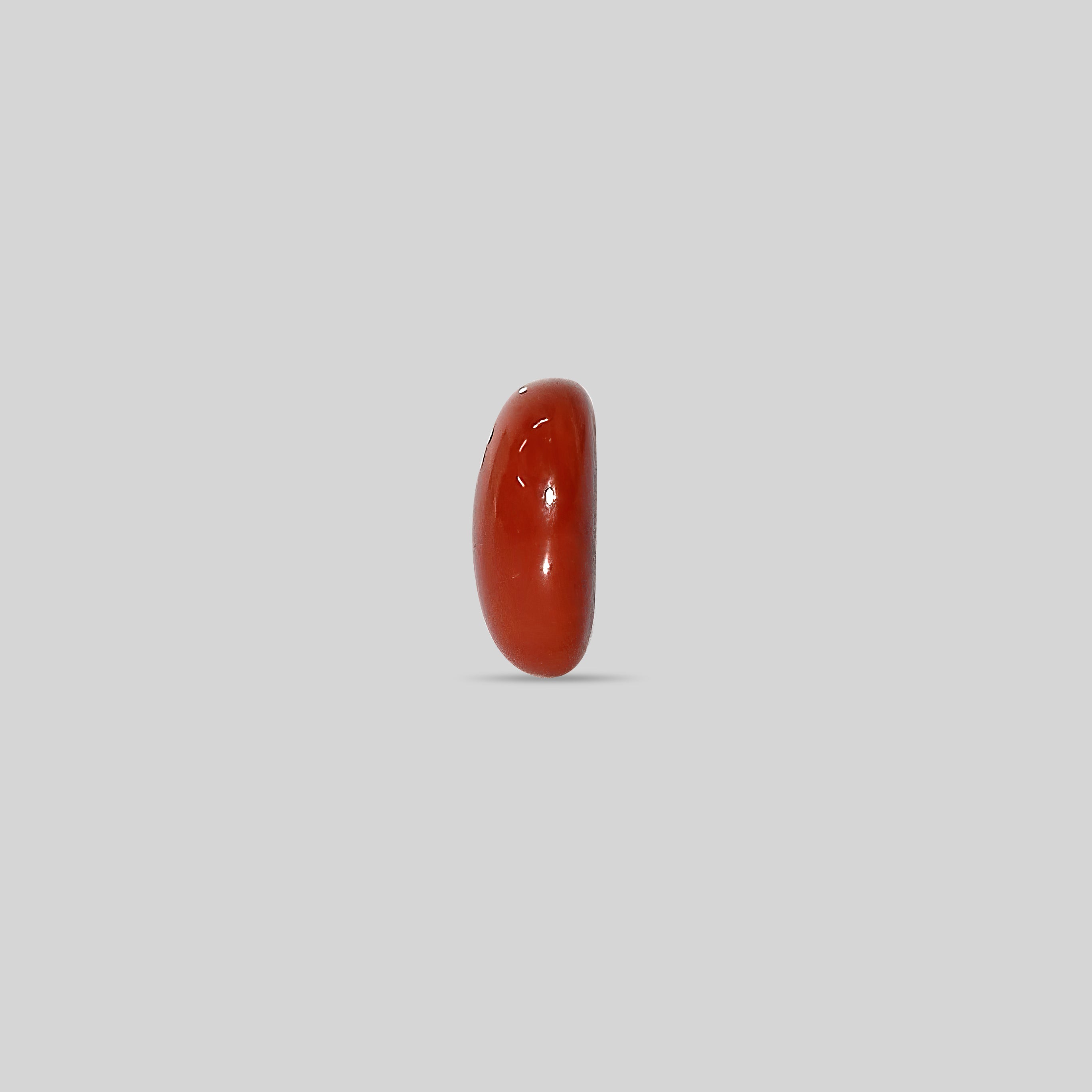 Japanese Red Coral - 10.97 Carats