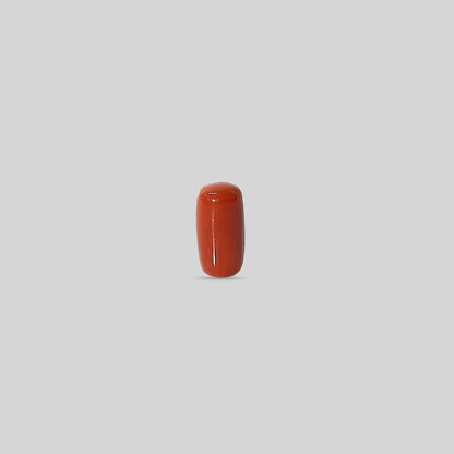 Italian Red Coral - 11.00 Carats