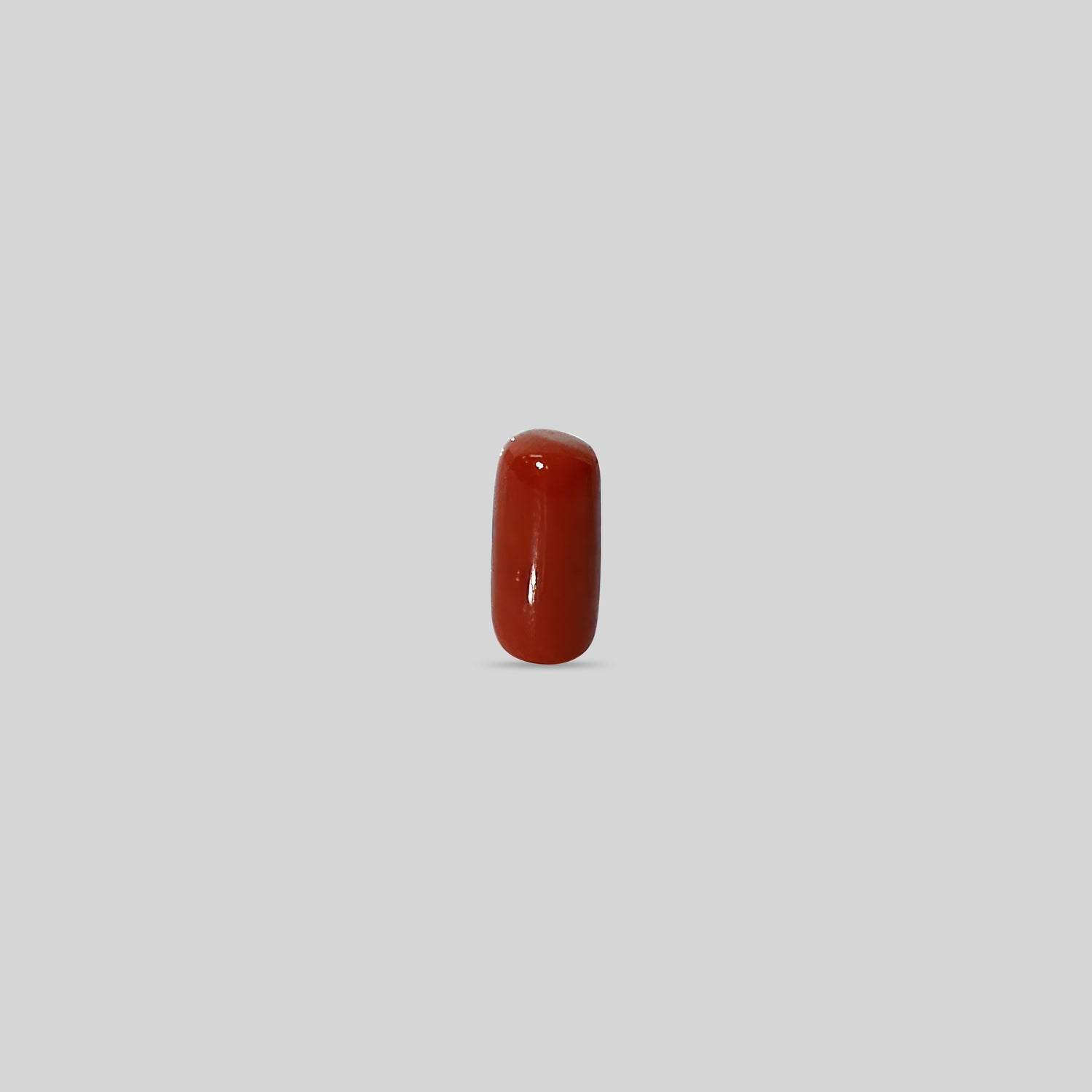 Italian Red Coral - 11.01 Carats