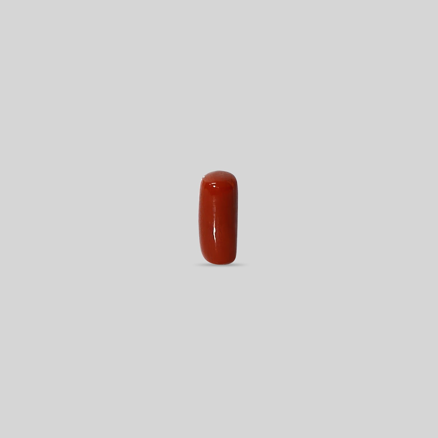Italian Red Coral - 11.01 Carats