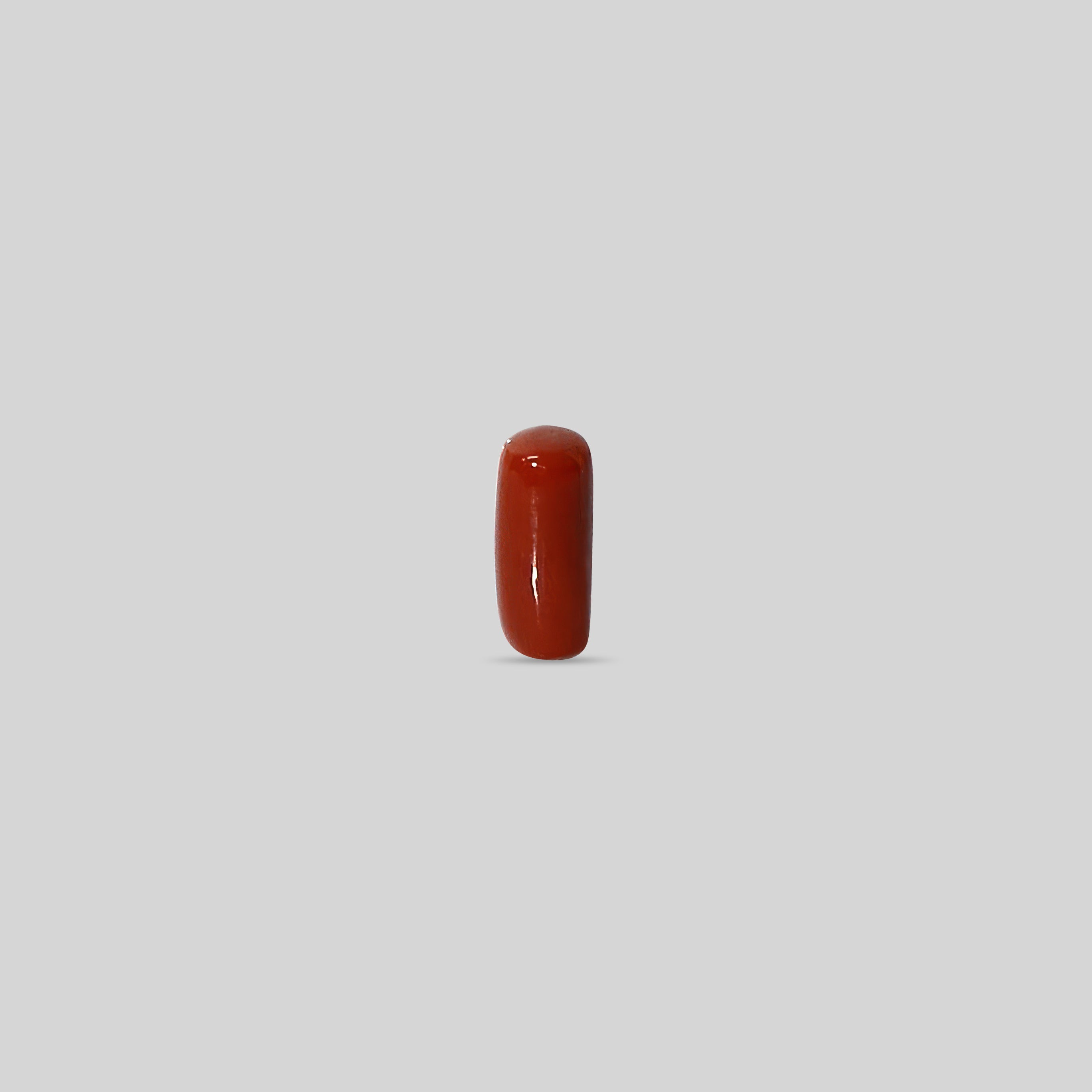 Italian Red Coral - 11.01 Carats