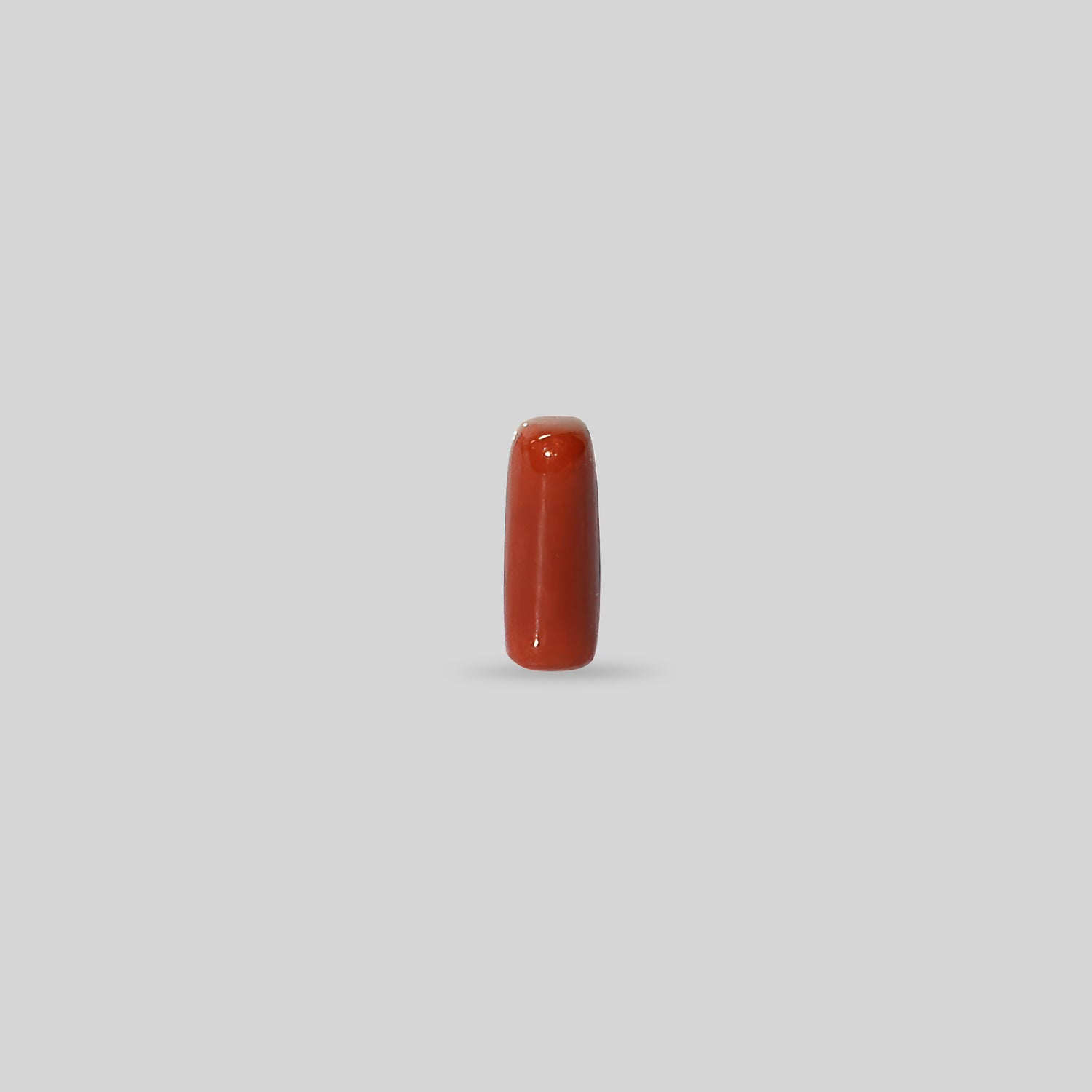 Italian Red Coral - 11.05 Carats