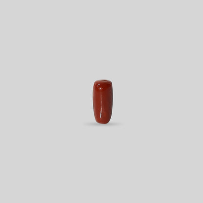 Italian Red Coral - 11.06 Carats