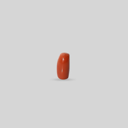 Italian Red Coral - 11.08 Carats