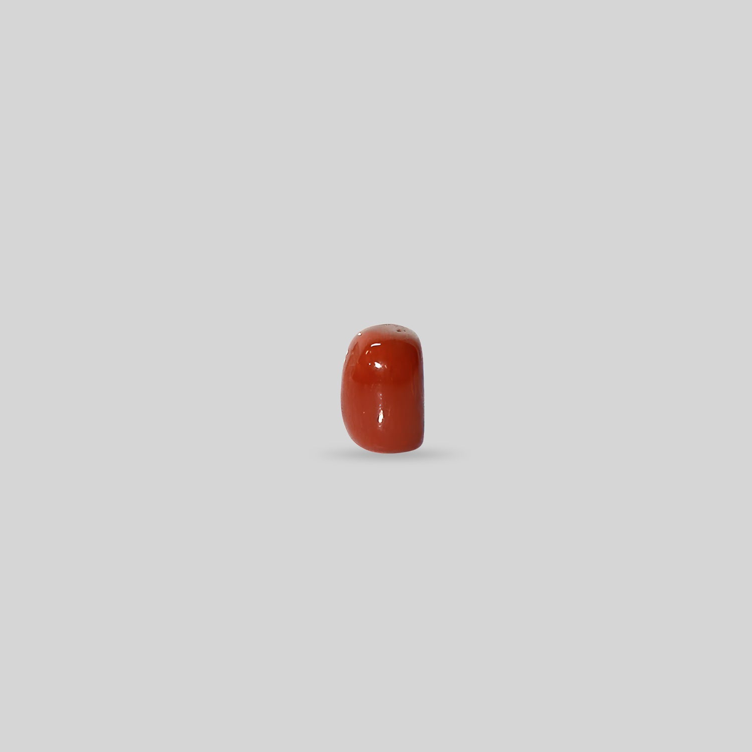 Italian Red Coral - 11.16 Carats