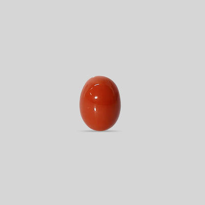 Japanese Red Coral - 11.45 Carats