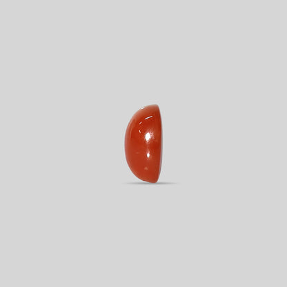 Japanese Red Coral - 11.45 Carats