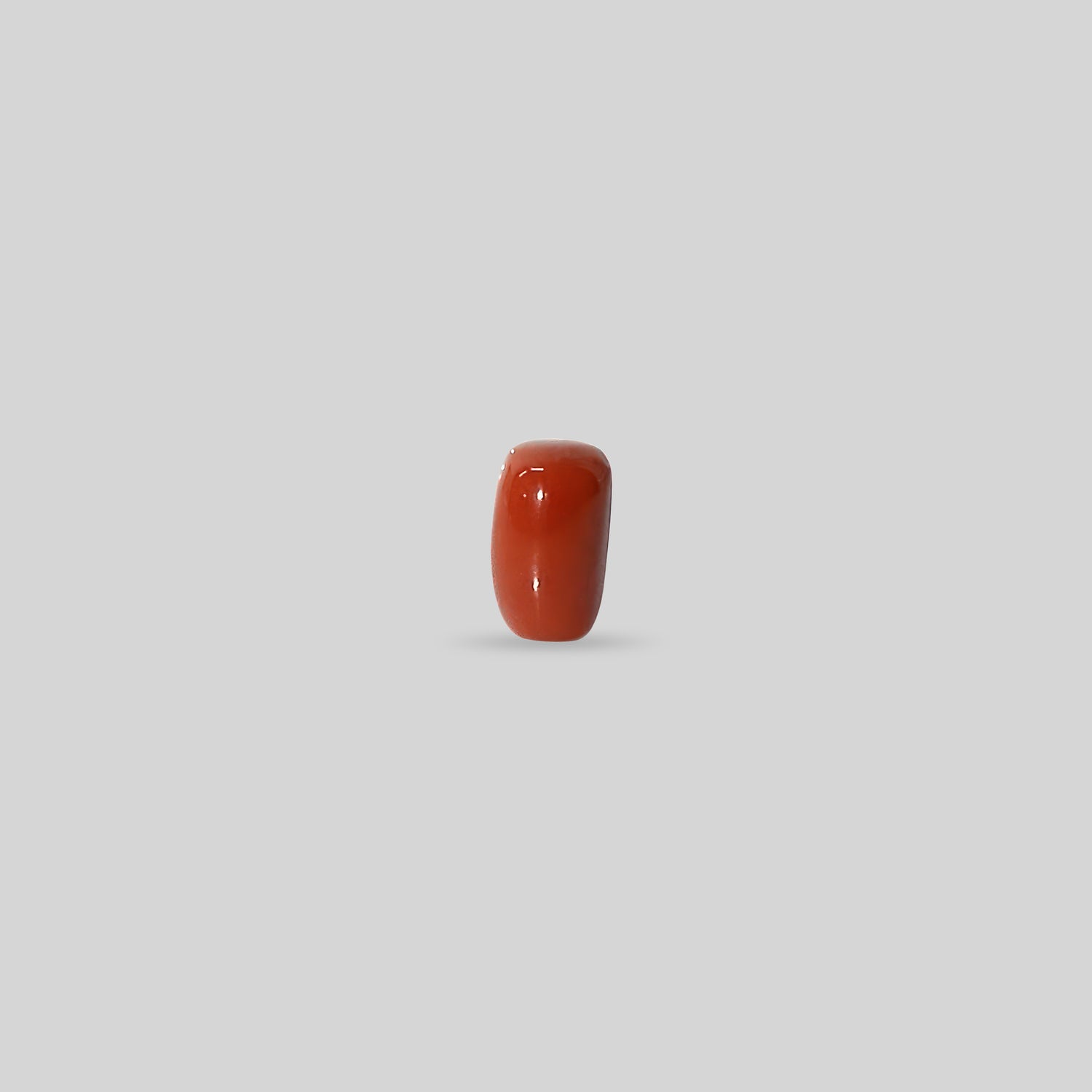 Italian Red Coral - 11.55 Carats
