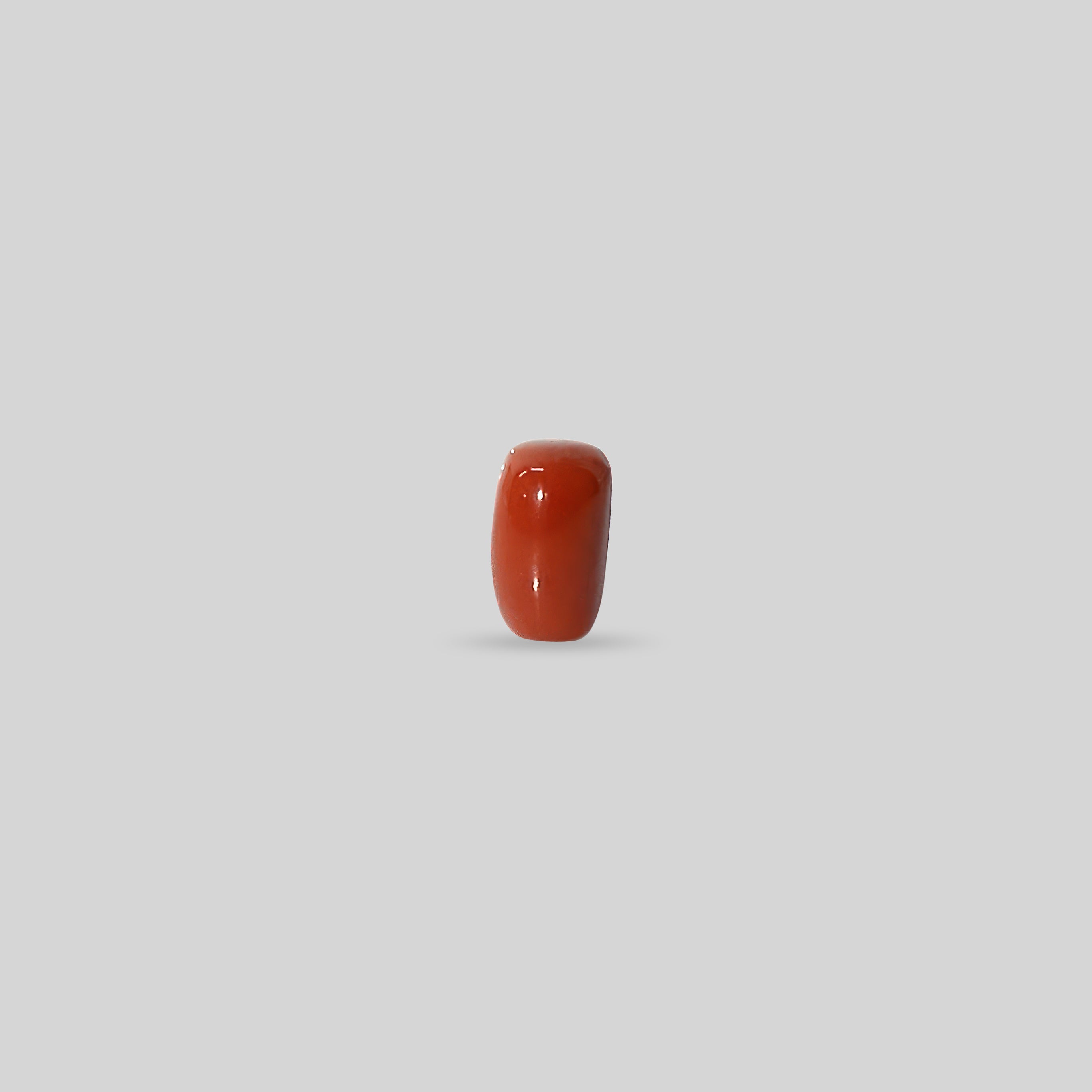 Italian Red Coral - 11.55 Carats