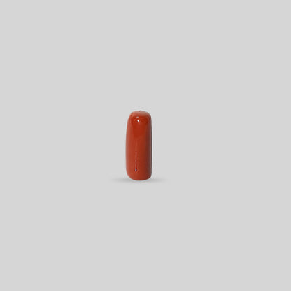 Italian Red Coral - 11.57 Carats