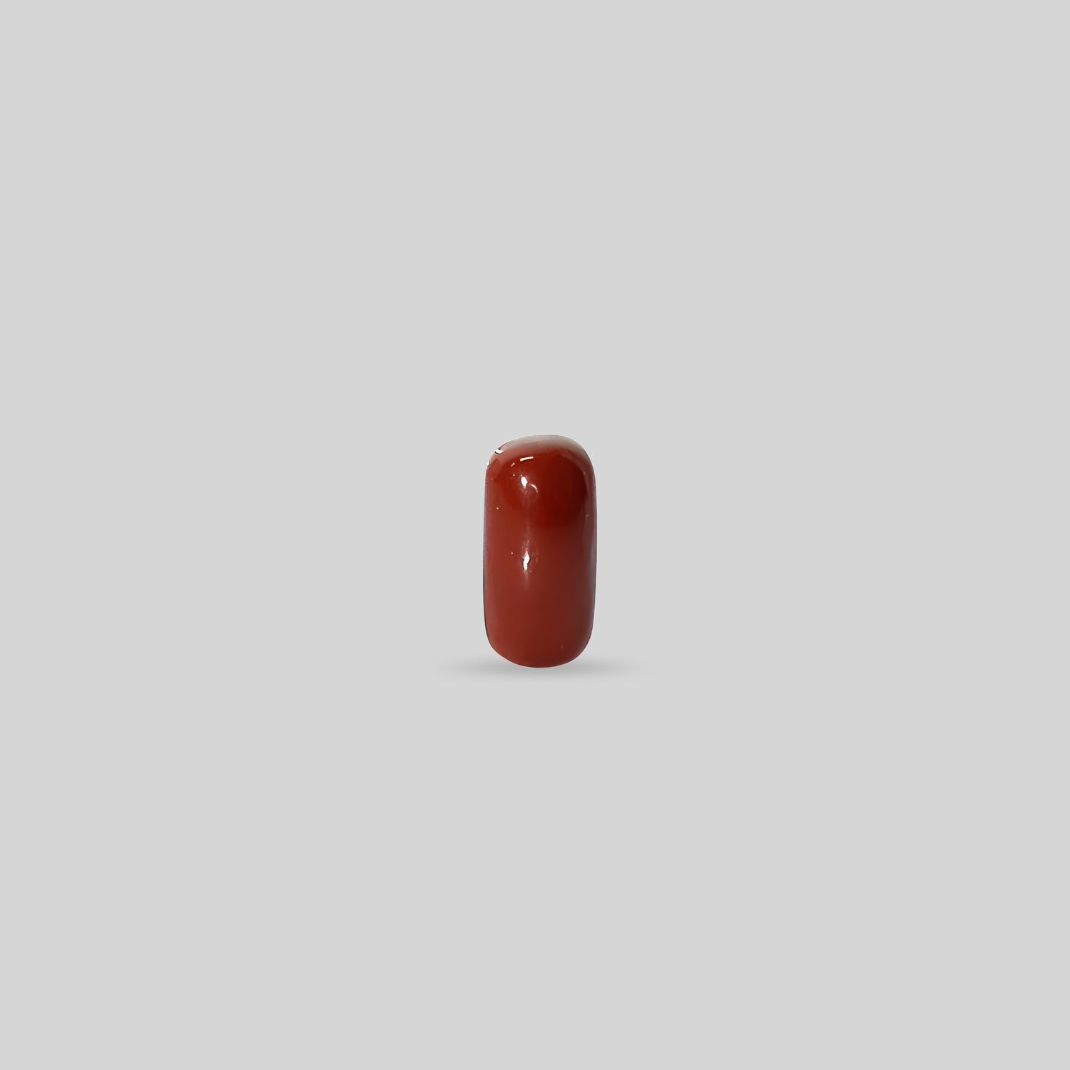 Italian Red Coral - 11.70 Carats