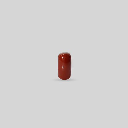 Italian Red Coral - 11.70 Carats