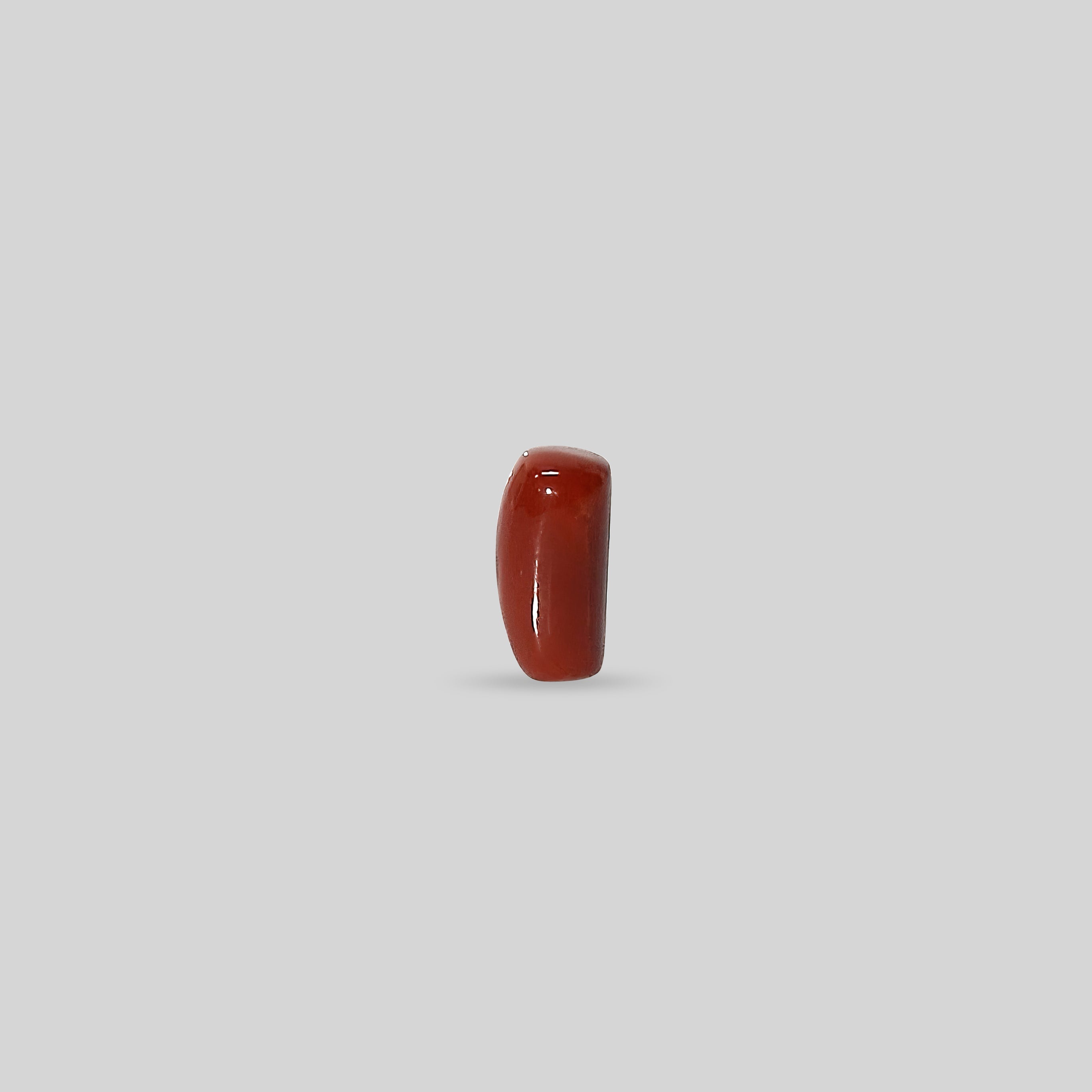 Italian Red Coral - 11.70 Carats