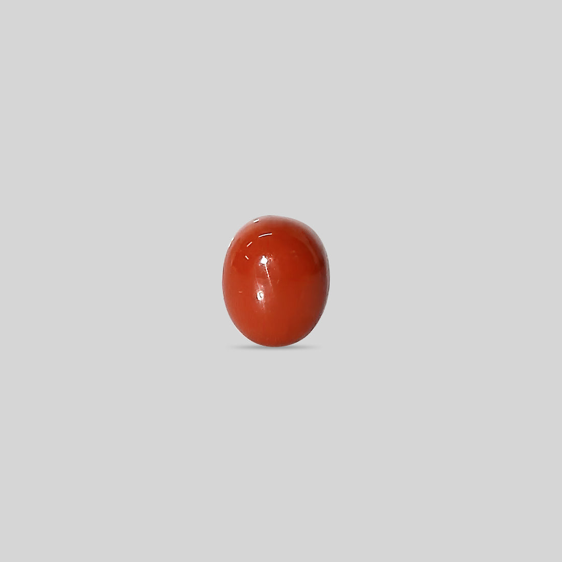 Italian Red Coral - 11.92 Carats