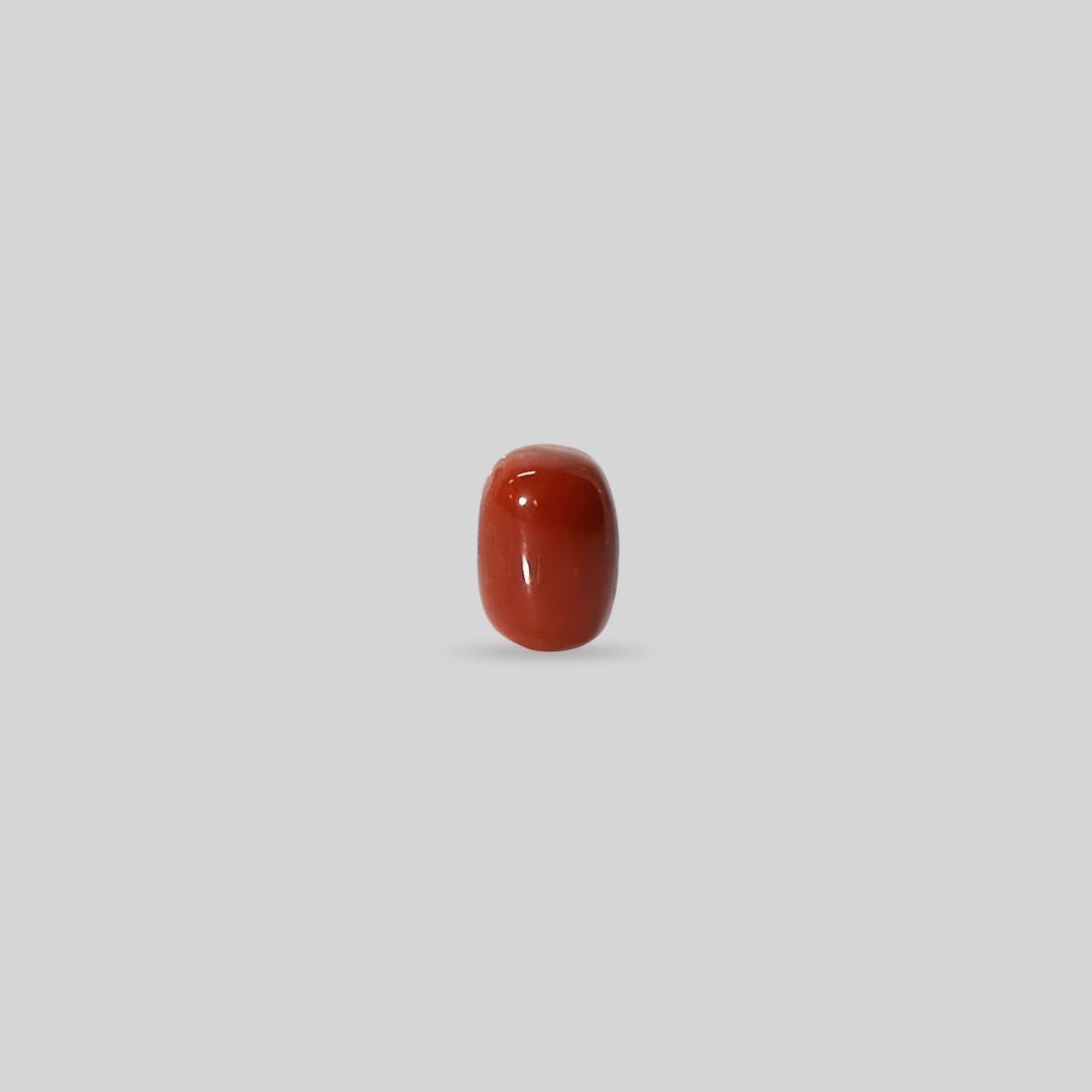 Italian Red Coral - 12.03 Carats
