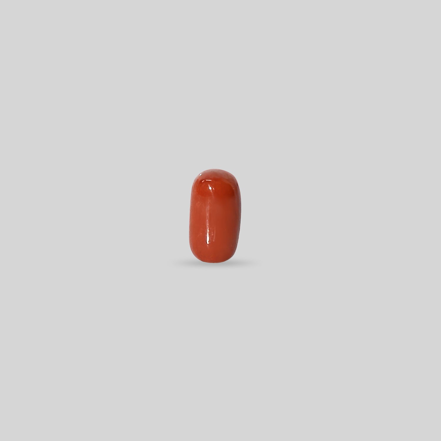 Italian Red Coral - 12.45 Carats