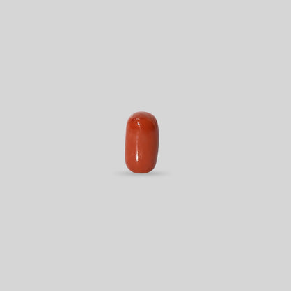Italian Red Coral - 12.45 Carats