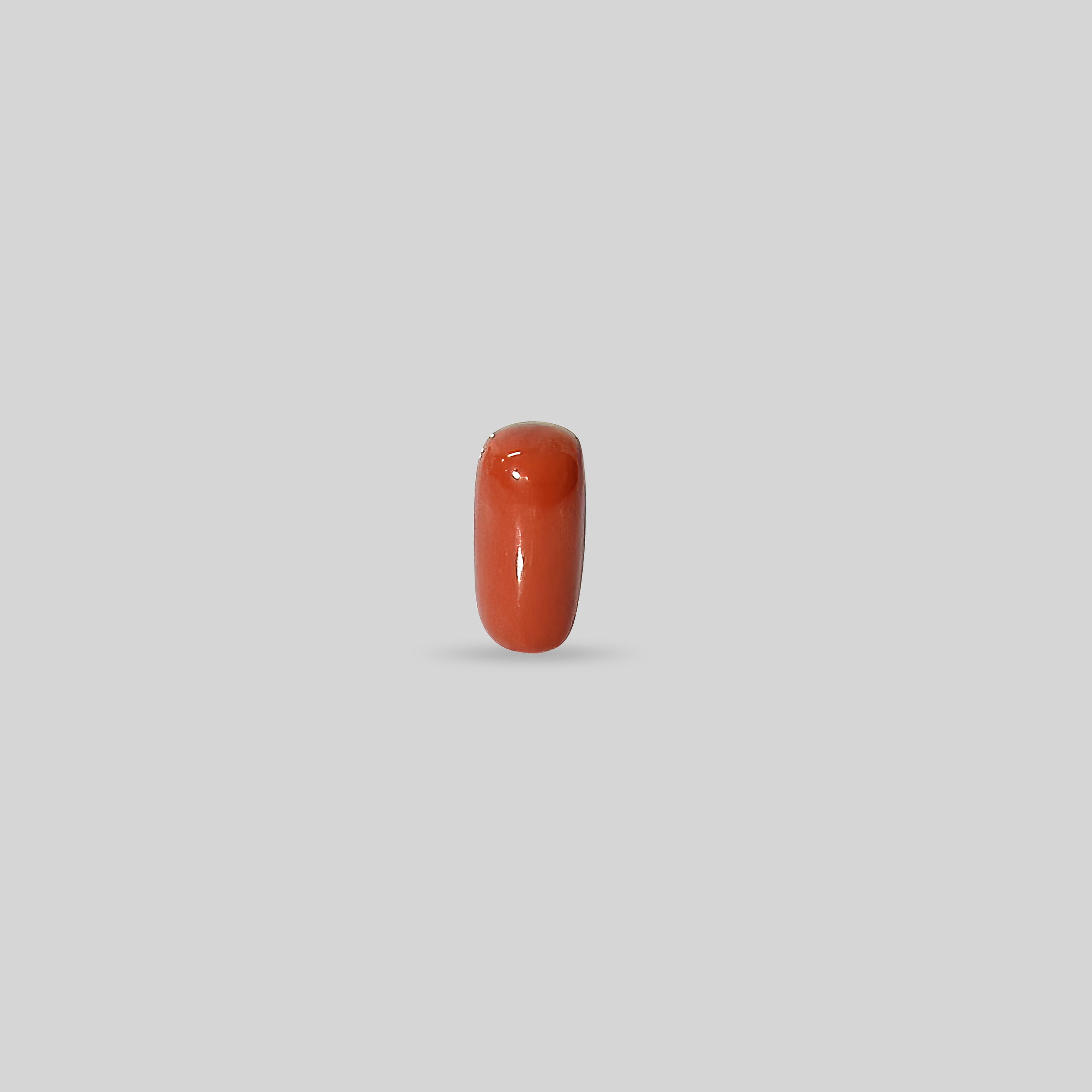 Italian Red Coral - 12.45 Carats